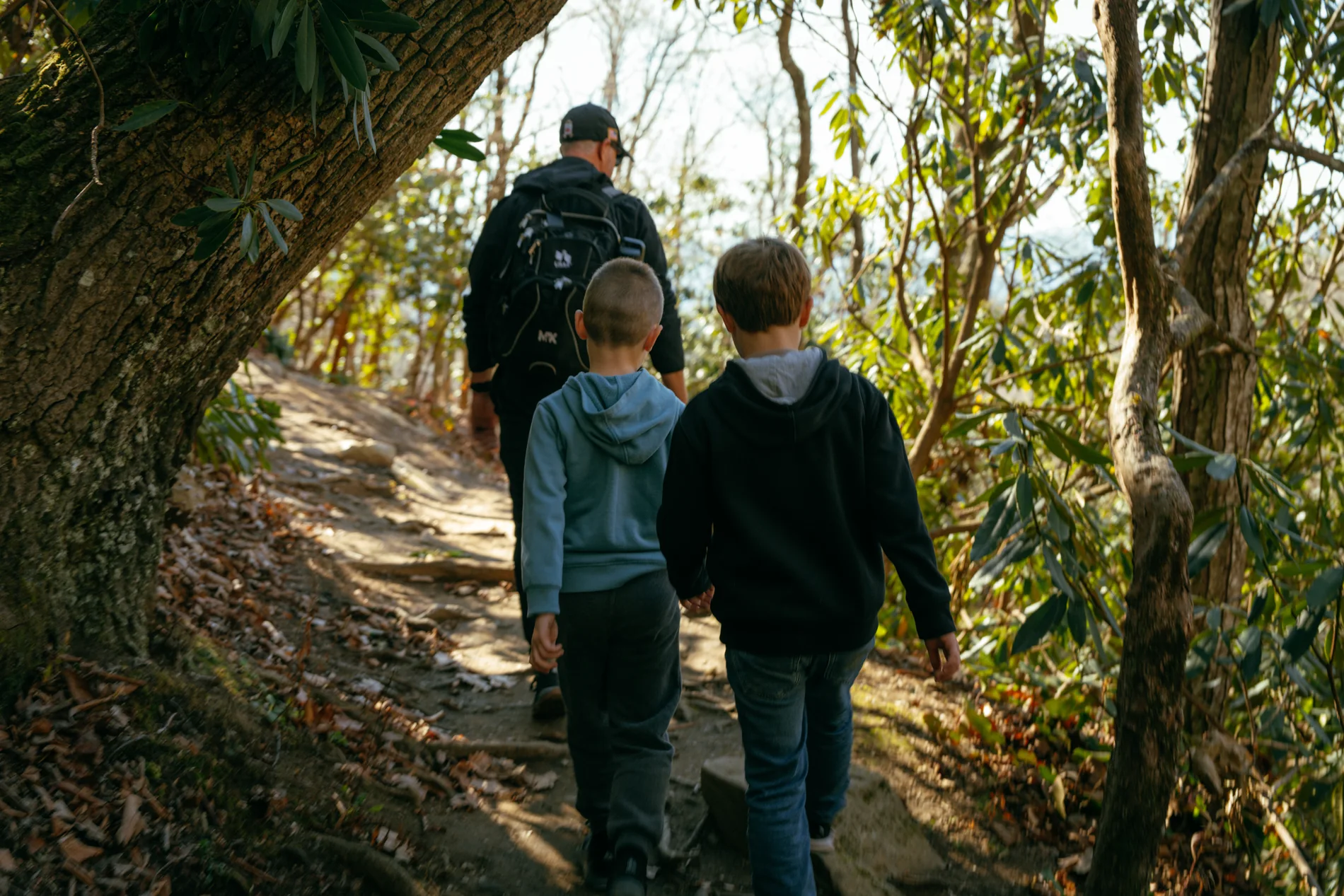 Group walking along a shaded woodland trail